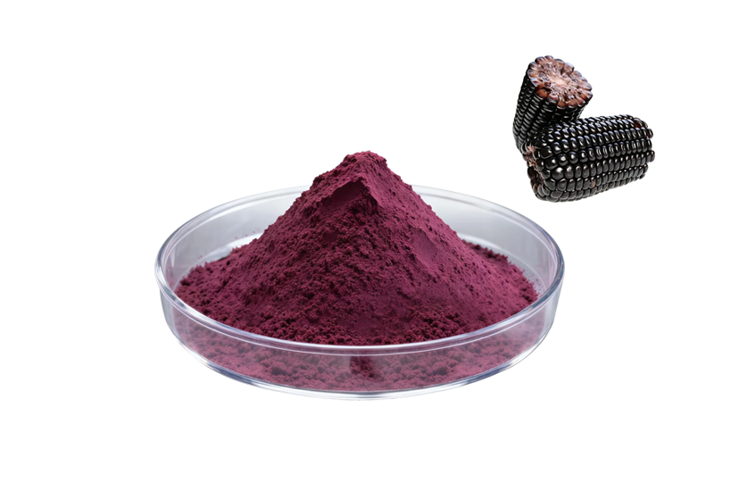 Purple Corn Extract